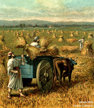 CHÃšA NHáº¬T 16 THÆ¯á»œNG NIÃŠN NÄ‚M A (Lm PhÃª-rÃ´ Tráº§n VÄƒn Trá»£ SJ) 